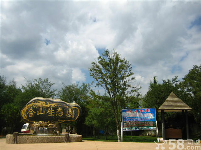 吕桂英 云南农林致富带头人 吕桂英 云南农林致富带头人
