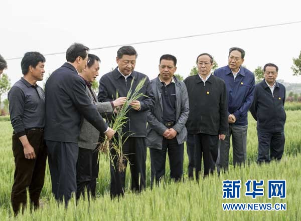 习近平 新农村建设不要把城市模式搬到农村