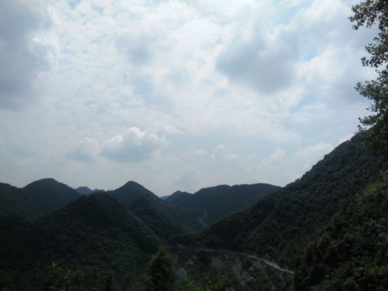 广西都安隆福一村庄发生特大火灾