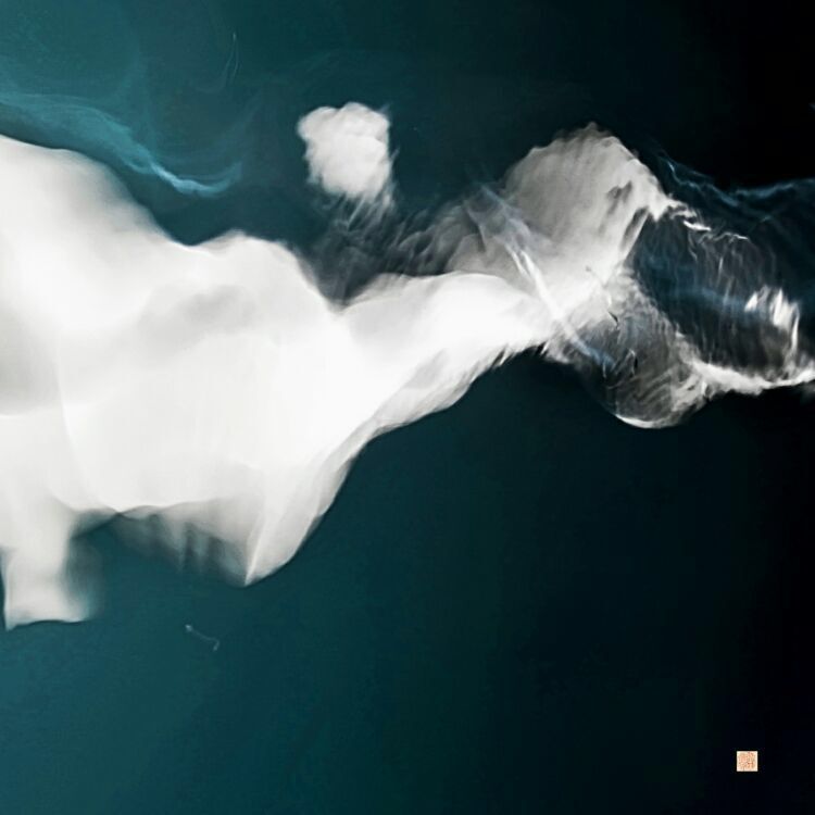 摄影:墨洗浮沉——润之禅境 摄影:墨洗浮沉——润之禅境