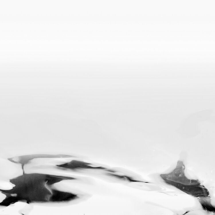 摄影:墨洗浮沉——润之禅境 摄影:墨洗浮沉——润之禅境