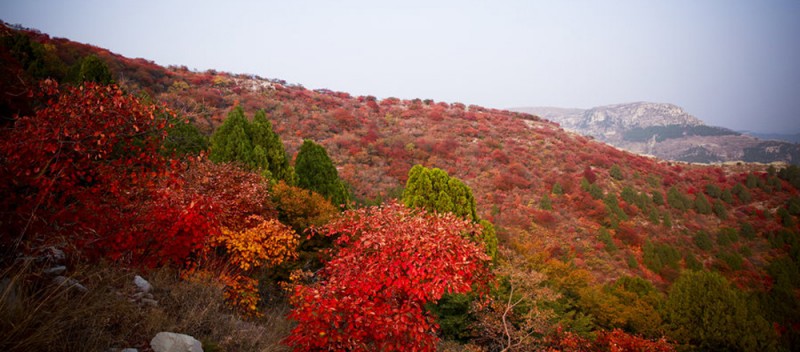 北京“大美金祖山”摄影大赛开始了——