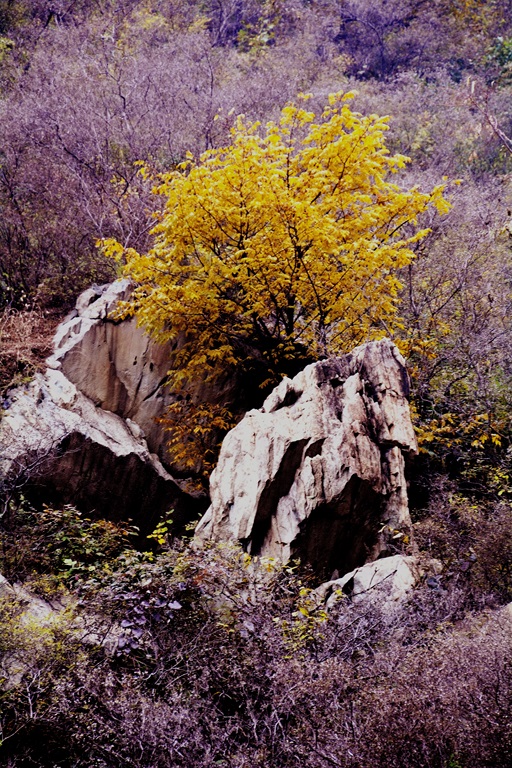 记者摄影家走进房山金祖山风景区釆风