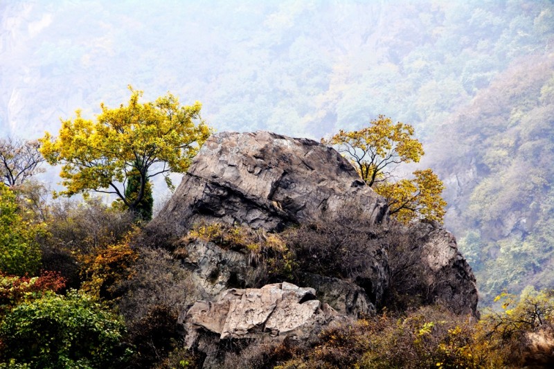 记者摄影家走进房山金祖山风景区釆风