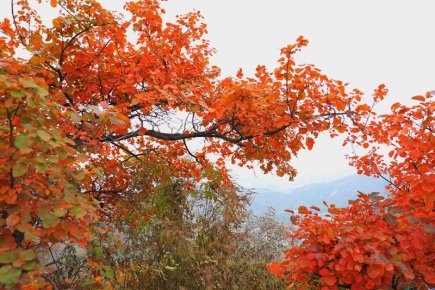 记者摄影家走进房山金祖山风景区釆风