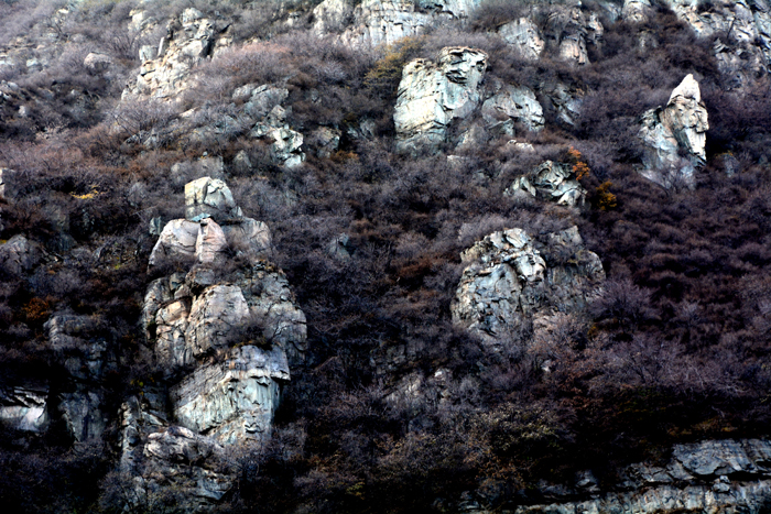 金祖山奇石奇树奇泉奇景