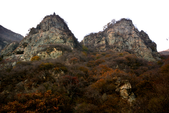金祖山奇石奇树奇泉奇景