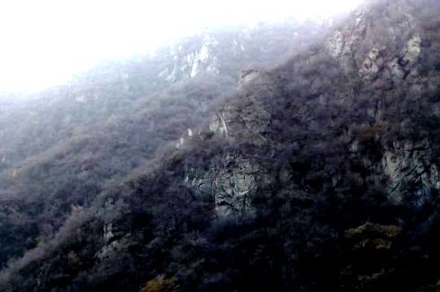 金祖山奇石奇树奇泉奇景