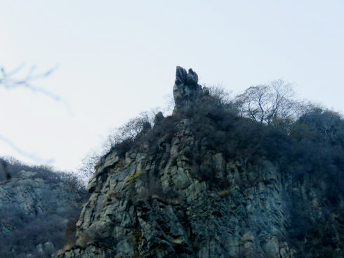金祖山奇石奇树奇泉奇景