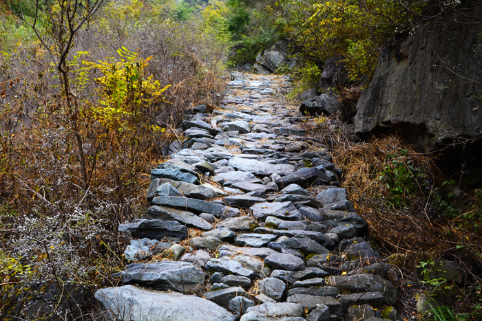 金祖山奇石奇树奇泉奇景