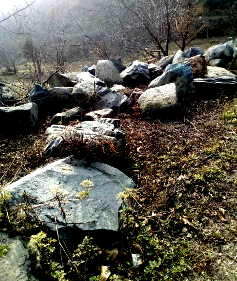 金祖山奇石奇树奇泉奇景