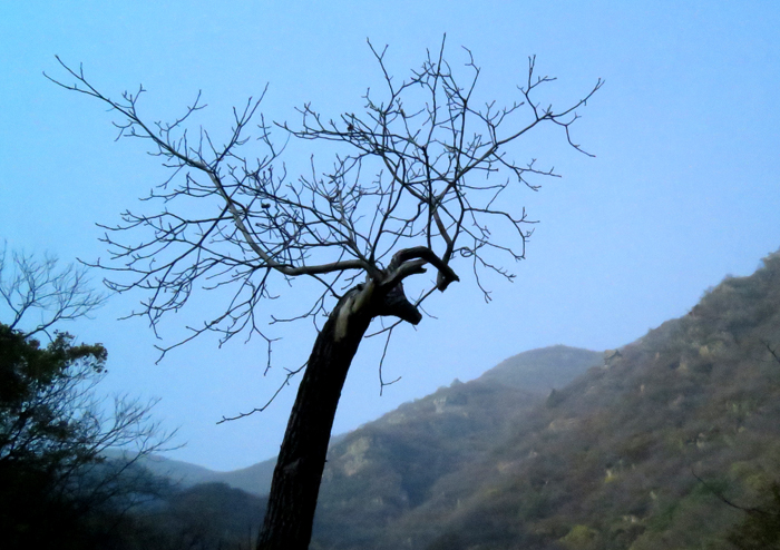 金祖山奇石奇树奇泉奇景
