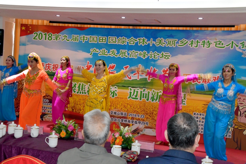 2018第九届中国田园综合体+美丽乡村特色小镇产业发展高峰论坛在京召开