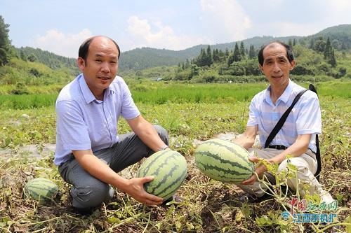 萍乡“爱心记者”坚守9年奔跑公益路 用大爱为贫弱群众撑起艳阳天