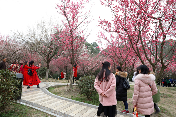 成都植物园春来早 赏花时正好 成都植物园春来早 赏花时正好