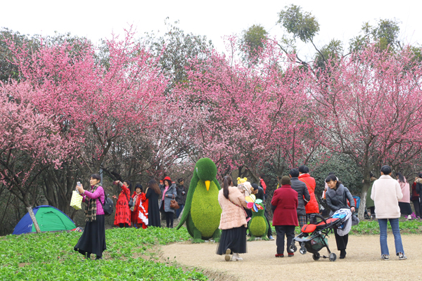 成都植物园春来早 赏花时正好 成都植物园春来早 赏花时正好
