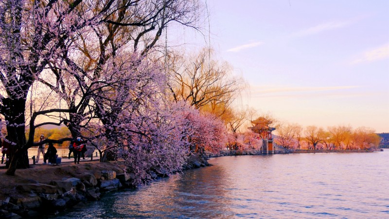 春到颐和园 拍客眼里最美的景色