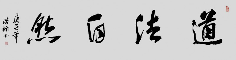 李浩楠书法作品——众志成城 抗击肺炎主题网络书画摄影展优秀作品