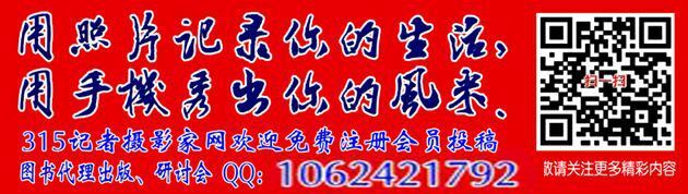 我们为什么不懂毕加索? 我们为什么不懂毕加索?