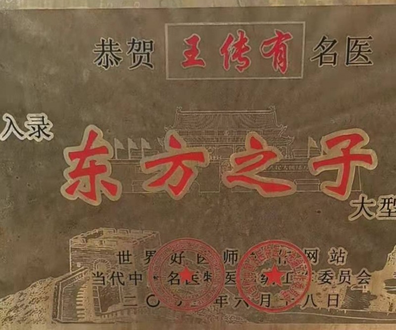 当代名医王传友,御医王天和中医传人