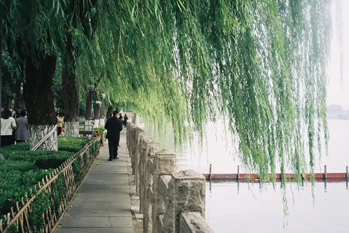 六月,最该去一趟济南 六月,最该去一趟济南