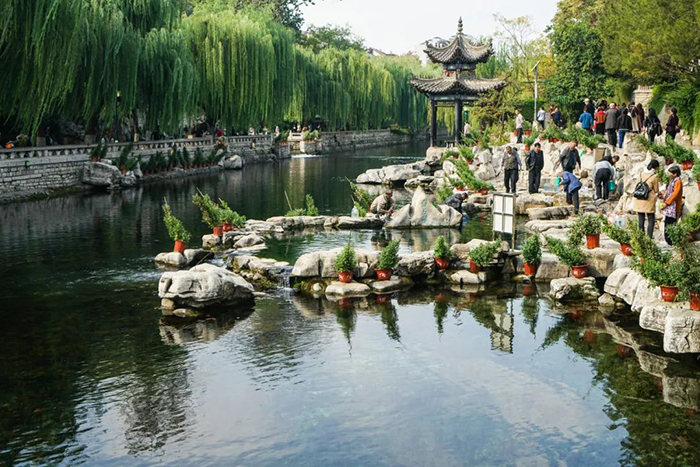 六月,最该去一趟济南 六月,最该去一趟济南
