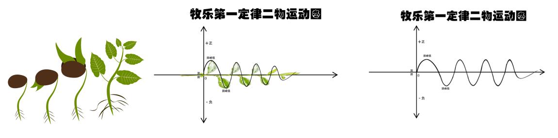 关于宇宙形状、空间、时间、生命体的讨论与五个猜想