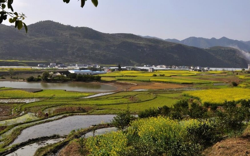 重庆酉阳红土地文学社会员作品选 重庆酉阳红土地文学社会员作品选