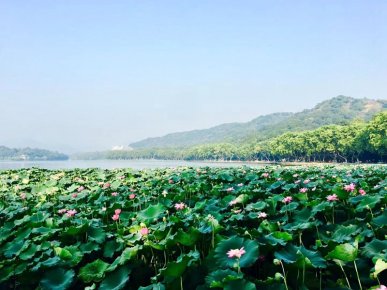 遐想夏韵 文： 李建东