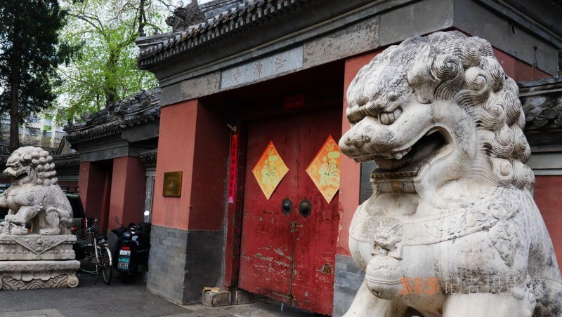 笑琰摄影:法源寺丁香白紫海棠新 笑琰摄影:法源寺丁香白紫海棠新