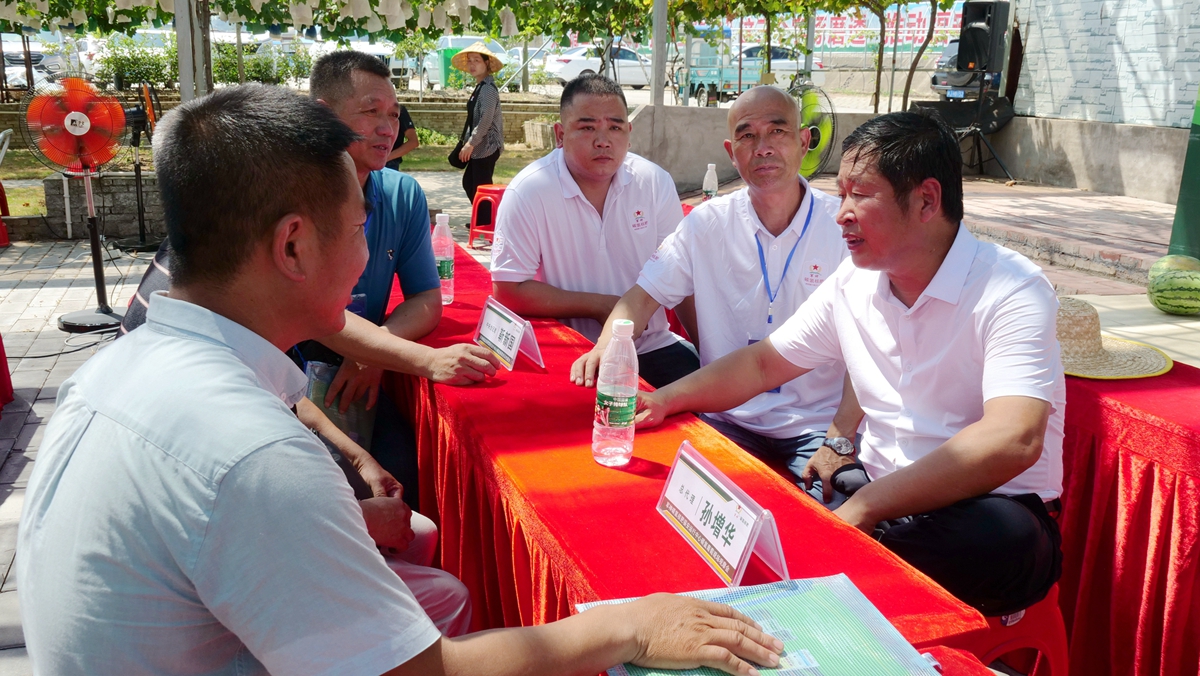 葡萄园里助农忙——碳氢核肥碳氢葡萄现场观摩会在福建福安象环村召开