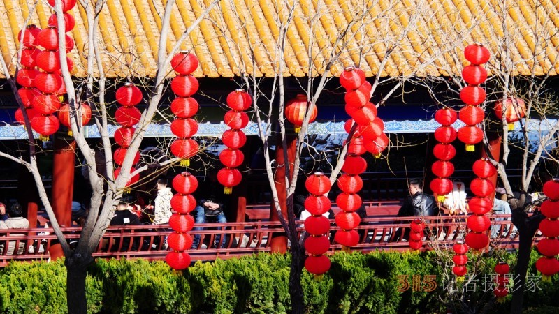 “辰龙闹春”——红红火火的红灯笼 “辰龙闹春”——红红火火的红灯笼