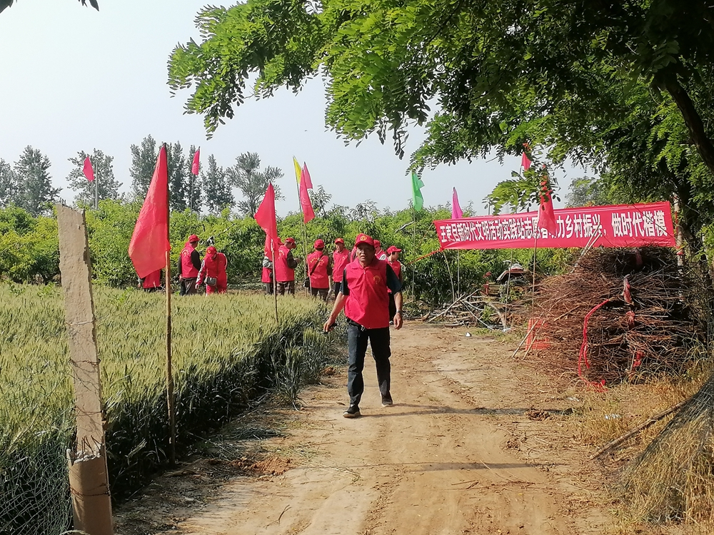 德州保店镇:志愿红助力黄桃基地疏果 共绘乡村振兴新图景 德州保店镇:志愿红助力黄桃基地疏果 共绘乡村振兴新图景