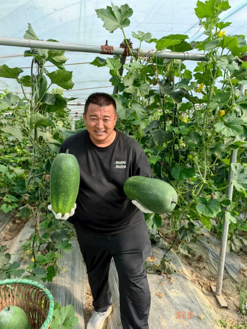 高原上的鲁商引擎——林芝市鲁商产业园的藏区协同发展纪实 高原上的鲁商引擎——林芝市鲁商产业园的藏区协同发展纪实