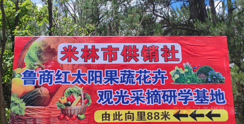 高原上的鲁商引擎——林芝市鲁商产业园的藏区协同发展纪实 高原上的鲁商引擎——林芝市鲁商产业园的藏区协同发展纪实