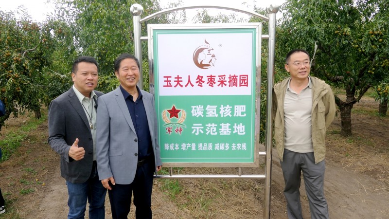 黄骅碳氢核肥冬枣基地迎丰收：增产三成零农残，绿色种植结出“放心果”